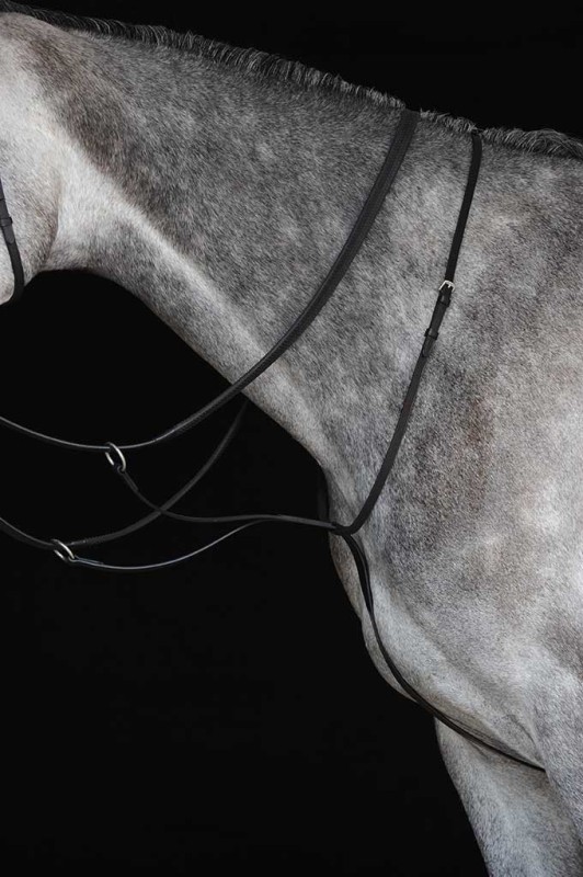 Collegiate Running Martingale Collegiate Running Martingale