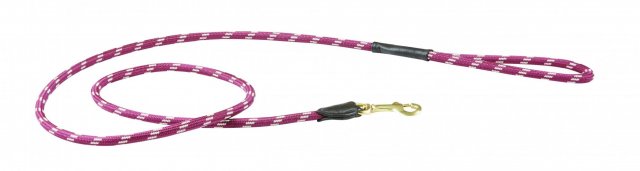 Weatherbeeta Products Weatherbeeta Rope Leather Dog Leads