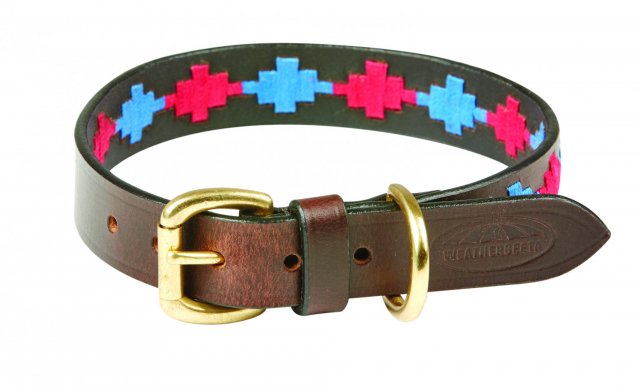 Weatherbeeta Products Weatherbeeta Polo Dog Collar