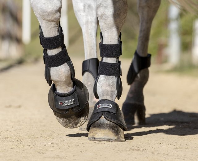 LeMieux LeMieux Carbonite No Turn Over-Reach Horse Boots