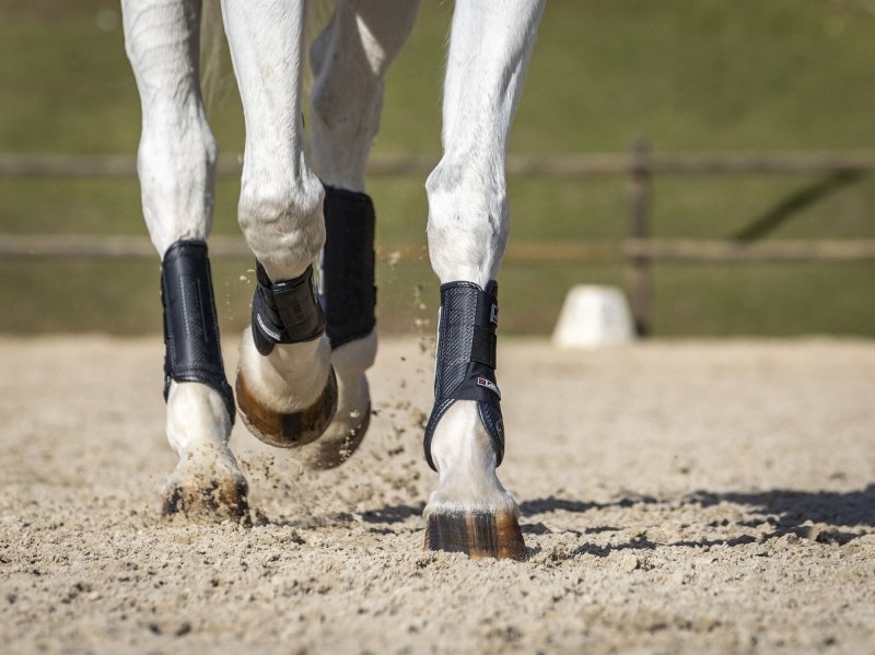 LeMieux Carbon Air XC Horse Boots Front LeMieux Carbon Air XC Horse Boots Front