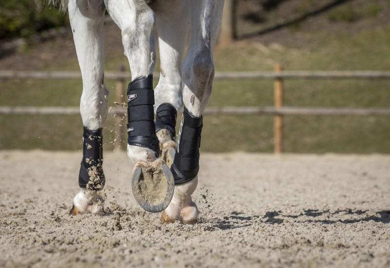 LeMieux Carbon Air XC Horse Boots Hind LeMieux Carbon Air XC Horse Boots Hind