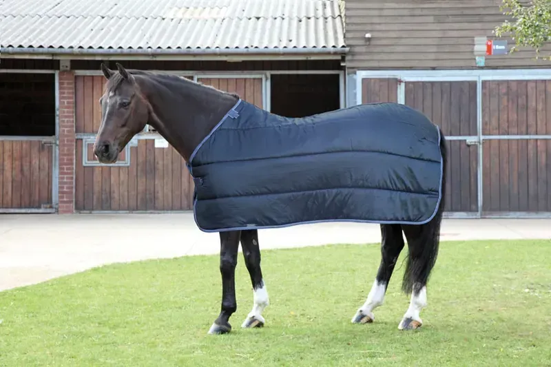 Tempest WarmaRug 100 Turnout Rug Liner in Black