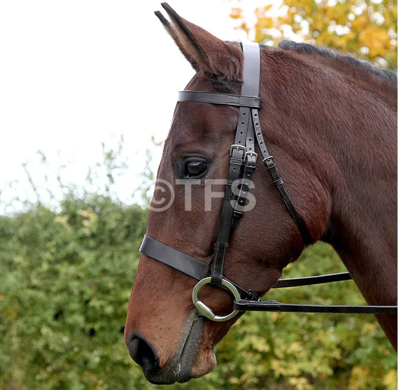 Townfields Hunter Flat Nose 1 1/4 Snaffle Bridle in Havana