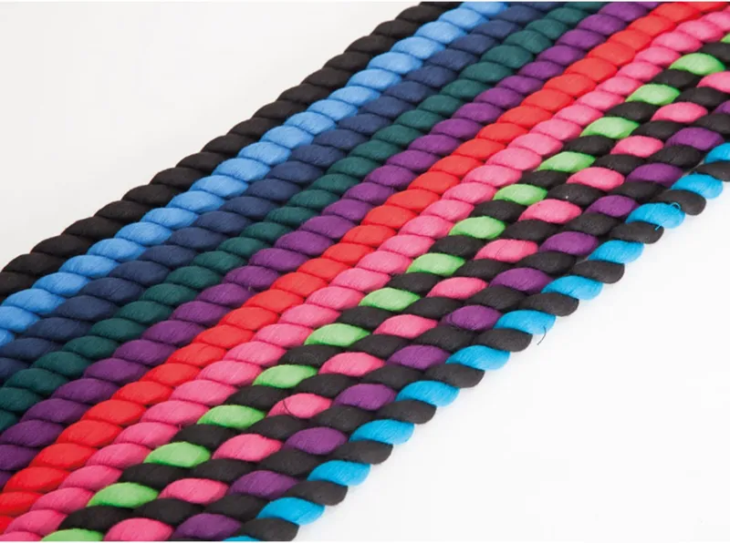 Townfields Lead Ropes Brass Trigger Clips in Black