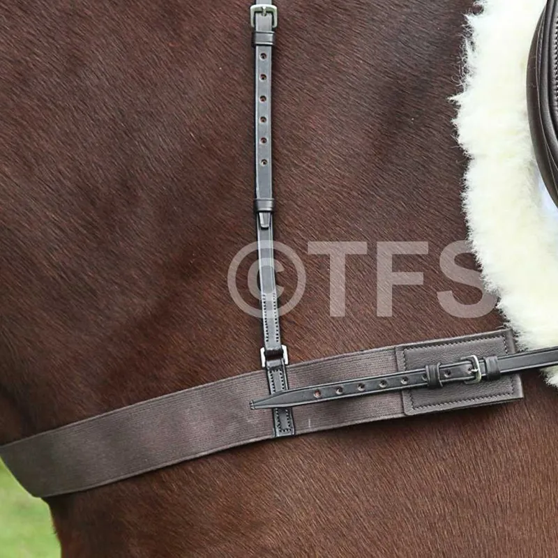 Townfields Elastic Breast Girth in Brown-1