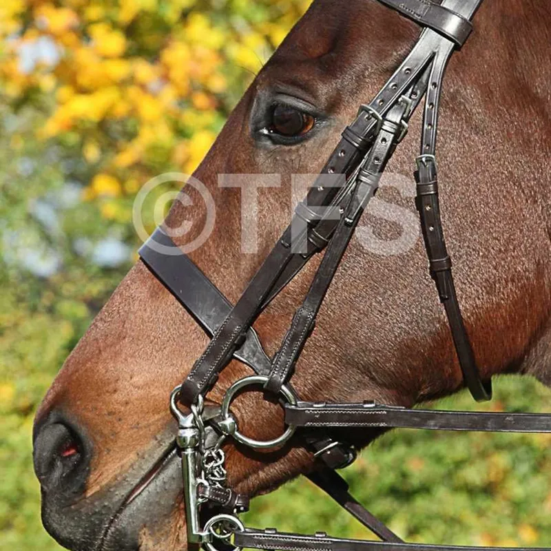 Townfields Leatherwork Flat Nose Hunt Weymouth Bridle in Black
