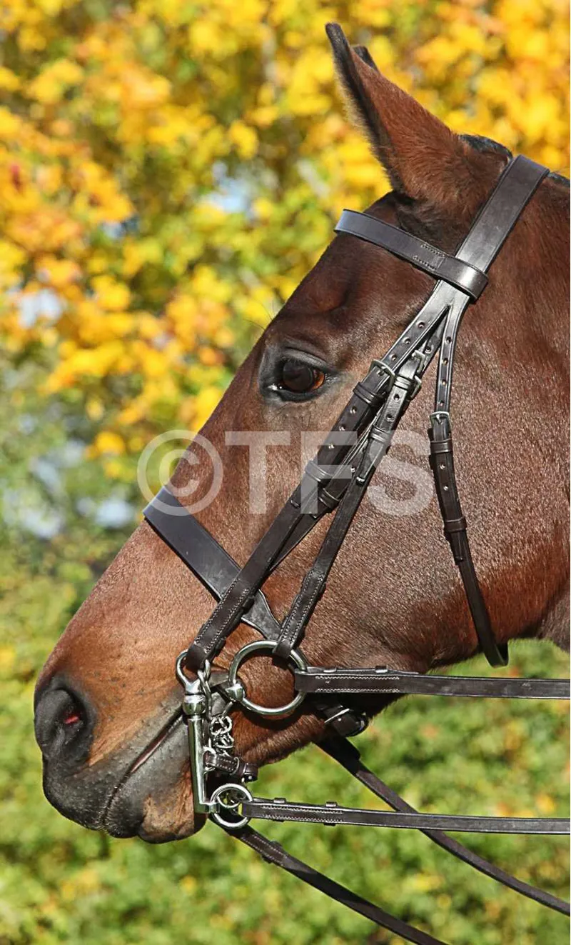 Townfields Leatherwork Flat Nose Hunt Weymouth Bridle in Brown