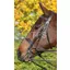 Townfields Leatherwork Flat Nose Hunt Weymouth Bridle in Brown
