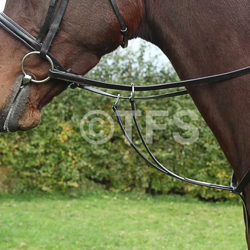 Townfields Running Martingale in Black