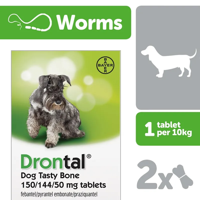 Drontal Dog Tasty Bone Wormer Tablets Pack in Tasty Bone