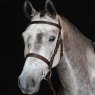 Collegiate Collegiate Hunt Cavesson Bridle IV