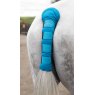 Arma Shires ARMA Padded Tail Guard