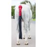 Arma Shires ARMA Padded Tail Guard with Bag