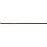 Shires Show Cane