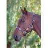 Velociti Gara Leather Polo Headcollar