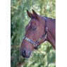 Velociti Gara Leather Polo Headcollar