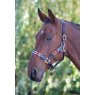 Velociti Gara Velociti Gara Leather Polo Headcollar