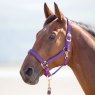 Shires Shires Topaz Nylon Headcollar