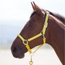 Shires Shires Topaz Nylon Headcollar