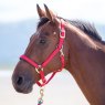 Shires Shires Topaz Nylon Headcollar