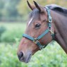 Shires Shires Topaz Nylon Headcollar