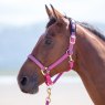 Shires Shires Topaz Nylon Headcollar