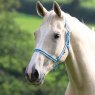 Shires Shires Wessex Headcollar