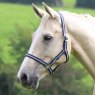 Shires Shires Wessex Headcollar