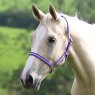 Shires Shires Wessex Headcollar