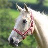 Shires Shires Wessex Headcollar