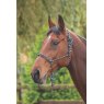 Shires Rope Control Headcollar