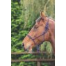 Shires Shires Rope Control Headcollar