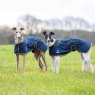 Shires Digby & Fox Softshell Greyhound Coat