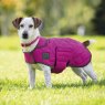 Digby & Fox  Shires Digby & Fox Quilted Dog Coat