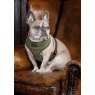 Digby & Fox  Shires Digby & Fox Tweed Dog Harness