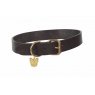 Digby & Fox  Shires Digby & Fox Flat Leather Dog Collar