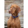 Digby & Fox  Shires Digby & Fox Rolled Leather Dog Collar