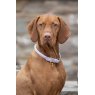 Digby & Fox  Shires Digby & Fox Rolled Leather Dog Collar