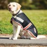 Weatherbeeta Products Weatherbeeta 1200D Therapy-Tec Dog Coat