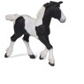Black Piebald 