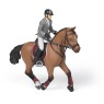Competition Horse