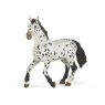 Black Appaloosa