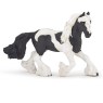 Piebald 