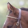 Browband detail