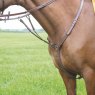 Avignon Breastplate  