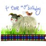 Alex Clark Birthday Sheep Card