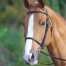 Gara Raised Cavesson Bridle  