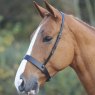 Velociti Gara Gara Hunter Cavesson Noseband