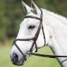 Avignon Leatherwork Avignon Grackle Bridle